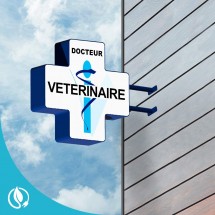 Croix vétérinaire