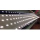 Caisson lumineux LED mince