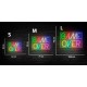 Néon Lettres GAME OVER