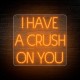 Neón lettres I HAVE A CRUSH ON YOU