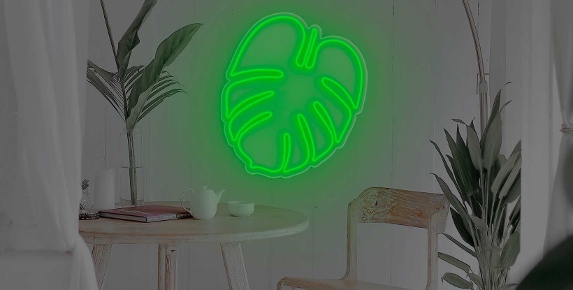 Soldes Neon Interieur Pour Voiture - Nos bonnes affaires de